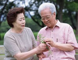 老年鼻炎患者自我护理方法都有哪些？